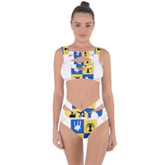 Coat Of Arms Of The French Southern And Antarctic Lands Bandaged Up Bikini Set  by abbeyz71