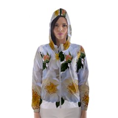 Roses Stamens Pollen Buds White Women s Hooded Windbreaker by Pakrebo