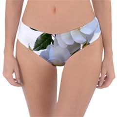 Roses Stamens Pollen Buds White Reversible Classic Bikini Bottoms by Pakrebo