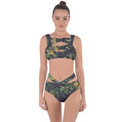 Pineapples Pattern Bandaged Up Bikini Set  by Sobalvarro