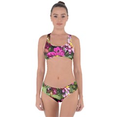 Summer Lantana W Bee Criss Cross Bikini Set by Riverwoman