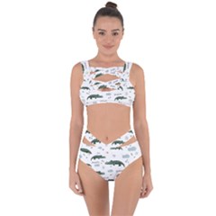 Vector Seamless Pattern With Cute Crocodiles Bandaged Up Bikini Set 