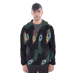 Seamless Pattern With Peacock Feather Men s Hooded Windbreaker by Vaneshart