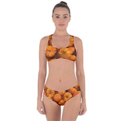 Mini Pumpkins Criss Cross Bikini Set by bloomingvinedesign