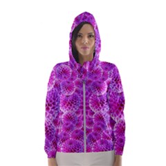 Nature Blossom Plant Flower Purple Petal Bloom Pattern Pollen Pink Flora Flowers Dahlia Design Beaut Women s Hooded Windbreaker