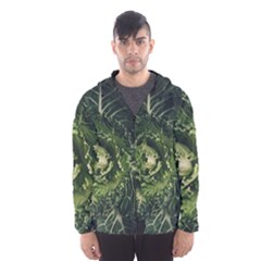 Plant Leaf Flower Green Produce Vegetable Botany Flora Cabbage Macro Photography Flowering Plant Men s Hooded Windbreaker by Vaneshart