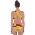 Color Concept Colors Colorful Criss Cross Bikini Set View2