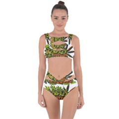 Cannabis Hemp Hashish Illegal Drug Trade Rasta Bandaged Up Bikini Set 