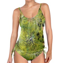 Abstract Spots Lines Green Tankini Set by Vaneshart