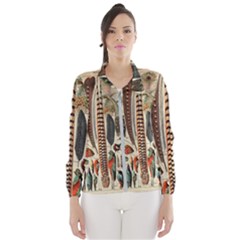 Feathers Birds Vintage Art Women s Windbreaker