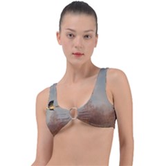 Goose 4002044 960 720 Ring Detail Bikini Top by vintage2030