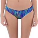 Background  Reversible Hipster Bikini Bottoms View1