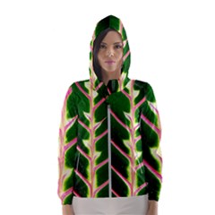 Exotic Green Leaf Women s Hooded Windbreaker