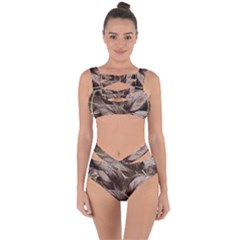 Foliage Circle Card Bandaged Up Bikini Set 