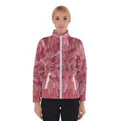 Texture Stained Glass Window Colors Winter Jacket