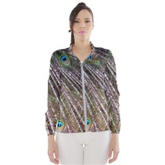 Peacock Feathers Pattern Colorful Women s Windbreaker