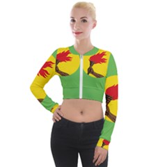 Flag Of Zaire Long Sleeve Cropped Velvet Jacket by abbeyz71