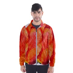 Tulip Watercolor Red And Black Stripes Men s Windbreaker by picsaspassion