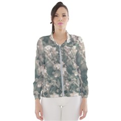 Beauty Floral Scene Photo Women s Windbreaker by dflcprintsclothing