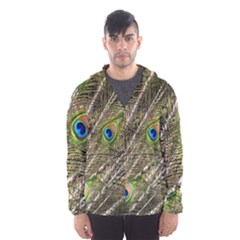 Peacock Feathers Color Plumage Green Men s Hooded Windbreaker by Sapixe