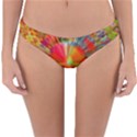 Kaleidoscope Mandala Color Reversible Hipster Bikini Bottoms View1