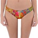 Kaleidoscope Mandala Color Reversible Hipster Bikini Bottoms View3