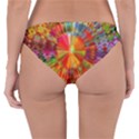 Kaleidoscope Mandala Color Reversible Hipster Bikini Bottoms View4