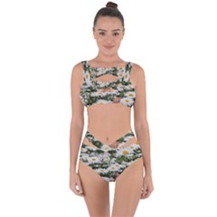 Champs De Marguerites Bandaged Up Bikini Set  by kcreatif