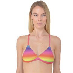 Rainbow Shades Reversible Tri Bikini Top by designsbymallika