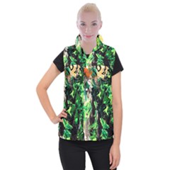 Plants 1 1 Women s Button Up Vest by bestdesignintheworld