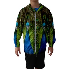 Peacock Feathers Bird Nature Kids  Hooded Windbreaker