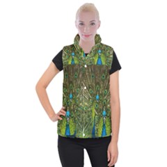 Peacock Feathers Bird Nature Women s Button Up Vest by Vaneshart