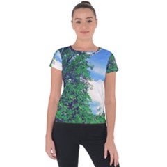 Drawing Of A Summer Day Short Sleeve Sports Top  by Fractalsandkaleidoscopes