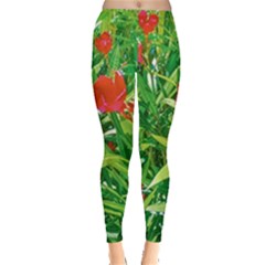 Red Flowers And Green Plants At Outdoor Garden Leggings  by dflcprintsclothing