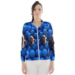 Cute Balls Puppy Women s Windbreaker by Sparkle