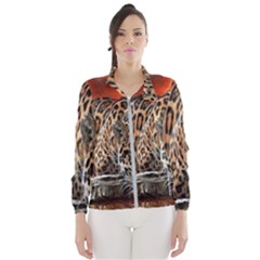 Nature With Tiger Women s Windbreaker by Sparkle