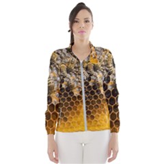 Honeycomb With Bees Women s Windbreaker by Vaneshart