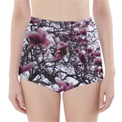 Saucer Magnolia Tree High-waisted Bikini Bottoms by okhismakingart