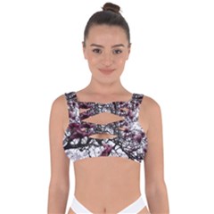 Saucer Magnolia Tree Bandaged Up Bikini Top by okhismakingart