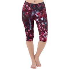 Red Floral Lightweight Velour Cropped Yoga Leggings by Sparkle