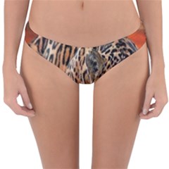 Nature With Tiger Reversible Hipster Bikini Bottoms by Sparkle