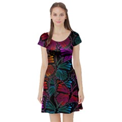 Colorful Monarch Butterfly Pattern Short Sleeve Skater Dress by SpinnyChairDesigns