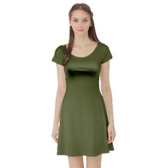 Army Green Color Ombre Short Sleeve Skater Dress by SpinnyChairDesigns