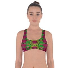 Rainbow Forest The Home Of The Metal Peacocks Got No Strings Sports Bra by pepitasart