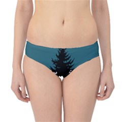 Flag Of Cascadia  Hipster Bikini Bottoms by abbeyz71