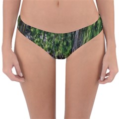 Green Glitter Squre Reversible Hipster Bikini Bottoms by Sparkle