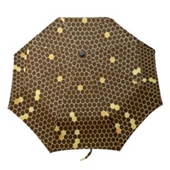 Gold Honeycomb On Brown Folding Umbrellas