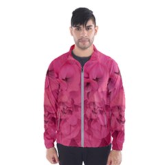 Beauty Pink Rose Detail Photo Men s Windbreaker by dflcprintsclothing