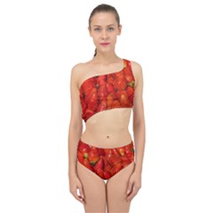 Colorful Strawberries At Market Display 1 Spliced Up Two Piece Swimsuit by dflcprintsclothing