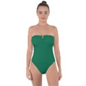 Cadmium Green - Tie Back One Piece Swimsuit View1